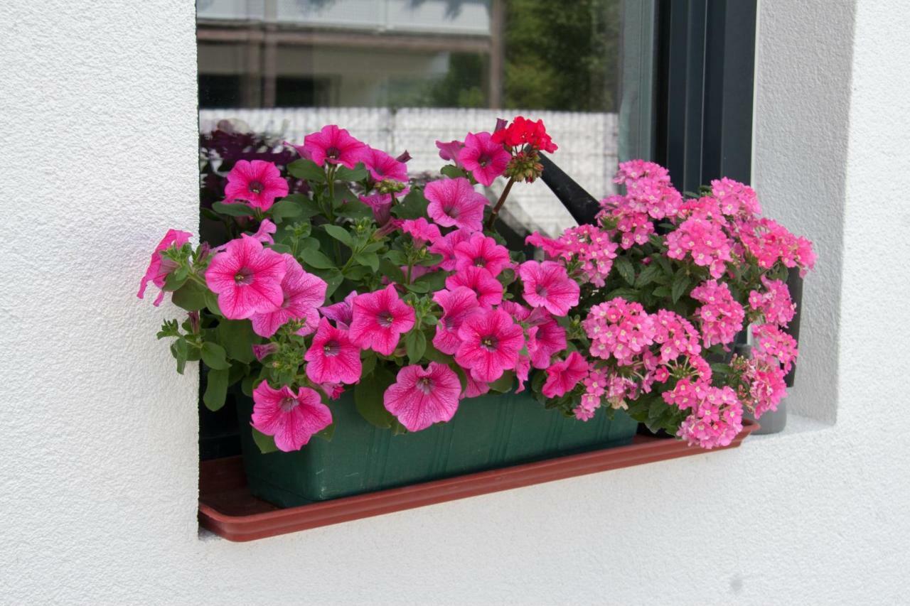 Ferienwohnung Heissl Fieberbrunn Εξωτερικό φωτογραφία